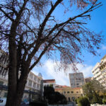 Τροχαίο στη λεωφόρο Μεσογείων – Δύο οχήματα συγκρούστηκαν στο ρεύμα ανόδου