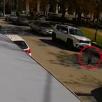 Κλήρωση Τζόκερ 09/03/2025: Αυτοί είναι οι αριθμοί που κερδίζουν 5.200.000 ευρώ