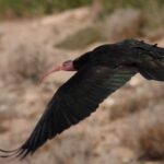 ΔΕΣΦΑ: Έντονο ενδιαφέρον για τη δέσμευση χρονοπαραθύρων εκφόρτωσης φορτίων LNG