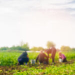 Πλοιάριο με 43 μετανάστες εντοπίστηκε νότια της Γαύδου