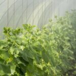 Θανάσης Κοντογεώργης: Ας αφήσουμε τα πορίσματα και τη δικαιοσύνη να εξηγήσουν τι έχει συμβεί στα Τέμπη