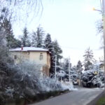 Συγκινεί η μητέρα του Βασίλη Καλογήρου – «Τέτοιες μέρες σε κράτησα για πρώτη φορά στην αγκαλιά μου»