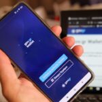 Συνελήφθη άνδρας στον Πύργο για καλλιέργεια και κατοχή ναρκωτικών: Κατασχέθηκαν 73 φυτά κάνναβης