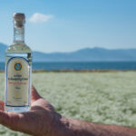 Τάκης Θεοδωρικάκος: Σταθερή πολιτική μας η ενίσχυση του διαθέσιμου εισοδήματος των πολιτών