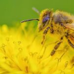 Τι είναι ο εμπορικός πόλεμος