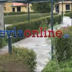 Πληρωμές: Μέχρι το Πάσχα πληρώνονται οι συνδεδεμένες ενισχύσεις