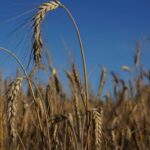 Η Βρετανία θέλει να «επιταχύνει» την υπογραφή εμπορικών συμφωνιών εν μέσω εμπορικού πολέμου