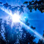 Φον ντερ Λάιεν: Διαπραγματεύσεις EE – Ηνωμένα Αραβικά Εμιράτα για συμφωνία ελεύθερου εμπορίου