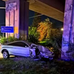 Νεαροί έκαψαν γάτα σε προαύλιο Δημοτικού Σχολείου στην Άνοιξη