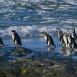 «Δεν έκρυψα τίποτα»: Ο Βερβεσός απαντά για την Έκθεση Τεμπών και καταγγέλλει στοχοποίηση