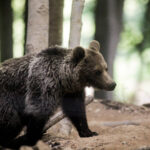 Σεισμοί στην Εύβοια: Σε κατάσταση έκτακτης ανάγκης ο Δήμος Μαντουδίου – Λίμνης – Αγίας Άννας – Προς κατεδάφιση τρία σπίτια