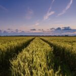 Πολωνία: Αποκάλυψε «απόπειρα ανάμιξης» στην εκστρατεία των προεδρικών εκλογών