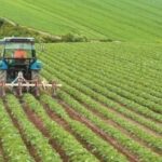 Κέλλας: Διεκδικούμε μία ΚΑΠ με επίκεντρο τον αγρότη και ισχυρή χρηματοδότηση για την εξασφάλιση άμεσων ενισχύσεων