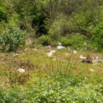 Νέο κάλεσμα Τραμπ σε Fed για μείωση επιτοκίων μετά τα θετικά «μάκρο»