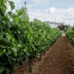 Ο Νετανιάχου κατηγορεί τον Μακρόν ότι συντάσσεται με μια «τρομοκρατική οργάνωση»