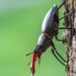 Καραμολέγκος: Πούλησε τη μονάδα στη Ρουμανία στον όμιλο Grupo Bimbo