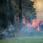 Στις 19 Ιουνίου η συζήτηση για τα Τέμπη στην Ολομέλεια του Ευρωπαϊκού Κοινοβουλίου