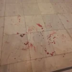 Καιρός: 30άρια μετά το κρύο και τους ισχυρούς βοριάδες – «Έρχεται με μεγάλη δυναμική και πάλι η άνοιξη»