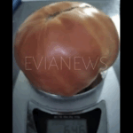 Τραμπ: Υπέγραψε διατάγματα για την πυρηνική ενέργεια – Άδειες λειτουργίας αντιδραστήρων σε 18 μήνες