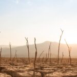 Δασμοί: Η απειλή Τραμπ και το τελεσίγραφο της 14ης Ιουλίου