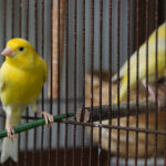 «Πρεμιέρα» για το νέο δρομολόγιο της AEGEAN Ρόδος – Κωνσταντινούπολη