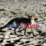 Νέος σεισμός 3,9 Ρίχτερ στο Ληξούρι της Κεφαλονιάς