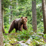 Eurobank: Απέκτησε 3.085.584 ίδιες μετοχές συνολικού ύψους 8,51 εκατ. ευρώ