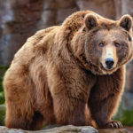 ΝΔ: Ο Κ. Σκρέκας η πρόταση Μητσοτάκη για γραμματέας της Πολιτικής Επιτροπής