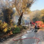 Πυροσβεστική: 55 αγροτοδασικές πυρκαγιές το τελευταίο 24ωρο – Πολύ υψηλός κίνδυνος αύριο σε 4 Περιφέρειες