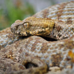 Δίχτυ προστασίας στους αγρότες – Ενισχύσεις και νέα εργαλεία απέναντι στην κλιματική κρίση