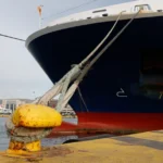 Η Φιλοζωική Ομοσπονδία Ελλάδος επικήρυξε άγνωστο που δηλητηριάζει αδέσποτα στην Καστοριά