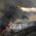 Η τεχνητή νοημοσύνη στην υπηρεσία της ΔΙΜΕΑ για τον εντοπισμό απομιμητικών προϊόντων