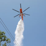 Τσιάρας: Η Ελλάδα έχει ανάγκη από μία νέα γενιά καταρτισμένων αγροτών