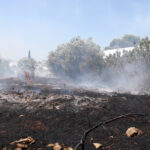 Παγκόσμια Τράπεζα: Υποβάθμιση της ανάπτυξης στο 2,3% για το 2025