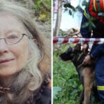 Τρία κρούσματα ευλογιάς αιγοπροβάτων στη Λάρισα