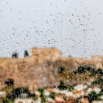 Βενιζέλος για χθεσινή συζήτηση στη Βουλή: Ευτελισμός των θεσμών λόγω κρίσης νομιμοποίησης