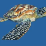 Μητσοτάκης για Πατρών – Πύργου: Διορθώνουμε μία διαχρονική αδικία που ταλαιπώρησε τους πολίτες της Δ. Ελλάδας