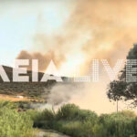 Φωτιά στην Κερατέα: Διασώστης προσπαθεί να σώσει σκύλο που τον έχουν κυκλώσει οι φλόγες