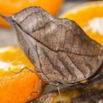 «Κλειδώνει» μέρα με τη μέρα το «καλάθι» της ΔΕΘ – Πυκνώνουν οι συσκέψεις στο Μέγαρο Μαξίμου