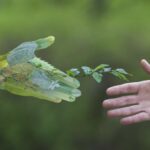 Ηλεκτρισμός: Σε υψηλό 10ετίας το μερίδιο των μονάδων αερίου – Στα αζήτητα το 9,6% της παραγωγής ΑΠΕ