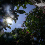 Εορτολόγιο: Ποιος γιορτάζει σήμερα 19 Σεπτεμβρίου