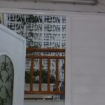 Τρόμος στη Θεσσαλονίκη για αγέλη 15 σκύλων – Σοκάρει το βίντεο από την επίθεση που δέχτηκε γατάκι