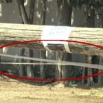 Θεοδωρικάκος: Η κοινωνική συνοχή είναι προϋπόθεση για την οικονομική και πολιτική σταθερότητα