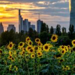 Υπεγράφη η ΚΥΑ για χρηματικό βοήθημα στους πληγέντες της τρομοκρατικής ενέργειας στους Αμπελόκηπους