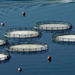 Μητσοτάκης: «Πραγματική αύξηση μισθών τον Ιανουάριο» – Τι είπε για ΦΠΑ, στεγαστικό, ΟΠΕΚΕΠΕ, Chevron