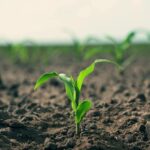 Καμπανάκι για την κινεζική οικονομία: Ασθενής ζήτηση, πτώση παραγωγής, φόβοι για νέα μέτρα στήριξης