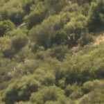 Στην Κοπεγχάγη ο Κ. Μητσοτάκης για την άτυπη σύνοδο του Ευρωπαϊκού Συμβουλίου