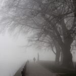 Πηγές ΠΑΣΟΚ για εξεταστική ΟΠΕΚΕΠΕ: Η ΝΔ κατέφυγε σε «γελοίες επιθέσεις»