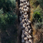 Στουρνάρας για το οικονομικό «comeback» της Ελλάδας: Η πολιτική σταθερότητα είναι το… παν