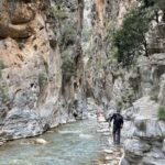 Επείγουσα προκαταρκτική εξέταση για την ευλογιά στη Θεσσαλία ζητά η Εισαγγελία Εφετών Λάρισας